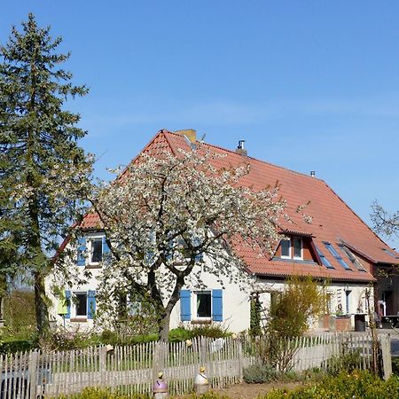 Hof Sorgenlos Gross Gievitz Esterno foto