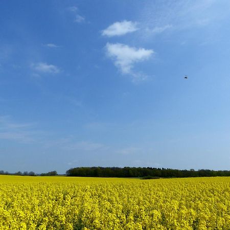 Hof Sorgenlos Gross Gievitz Esterno foto