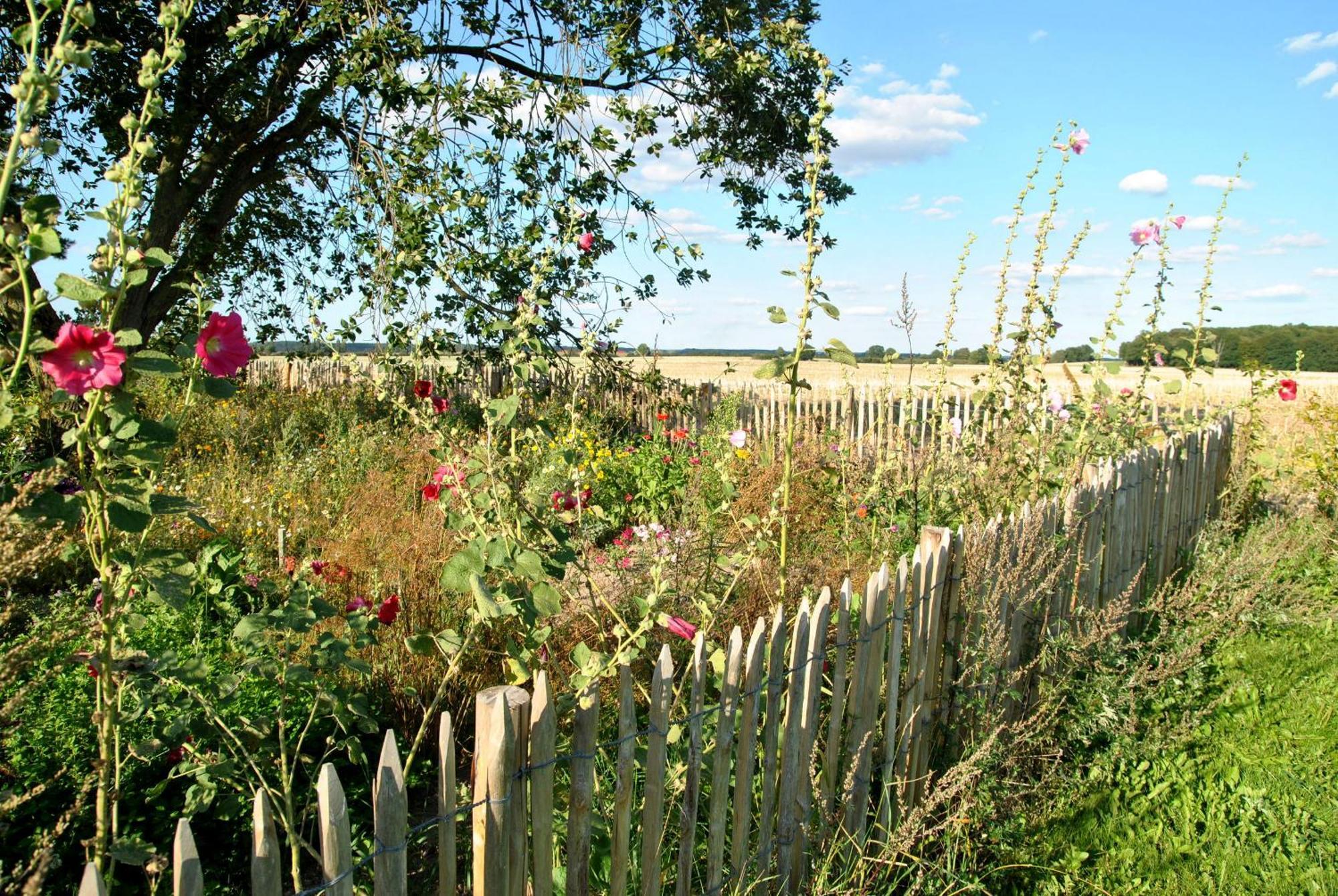 Hof Sorgenlos Gross Gievitz Esterno foto