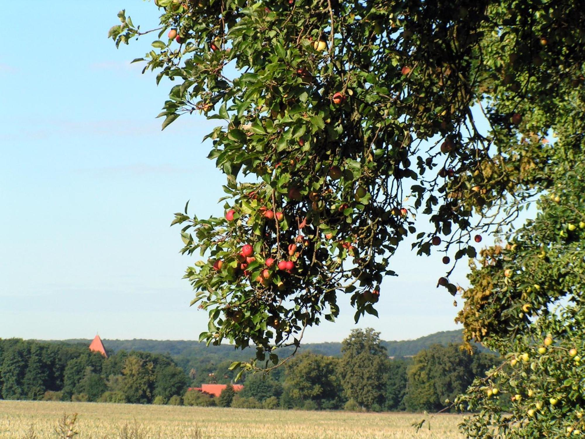 Hof Sorgenlos Gross Gievitz Esterno foto